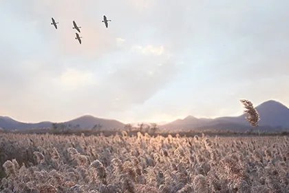 中元节禁忌几点不能出门_中元节需要给父母上坟吗