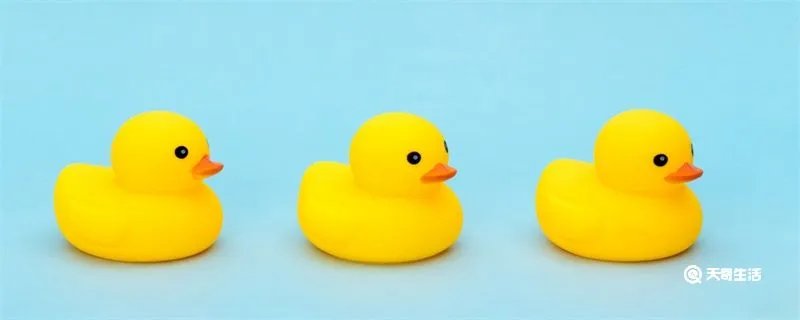 抓鸭子是什么梗