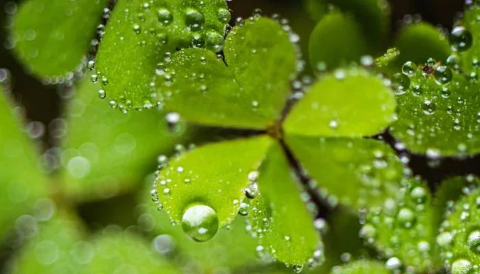 2022年五月黄道吉日一览表