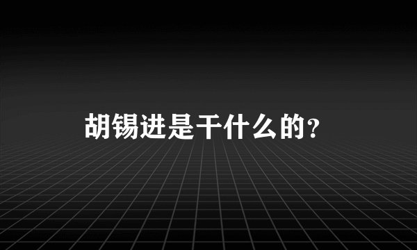 胡锡进是干什么的？