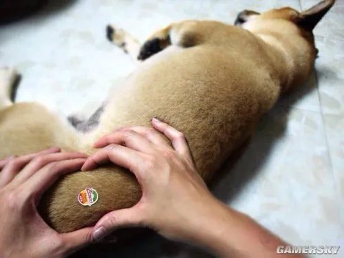 有一个挺翘臀部的好处 最新囧图踩点送达