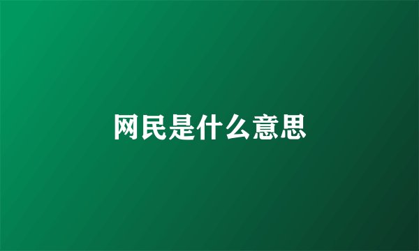 网民是什么意思