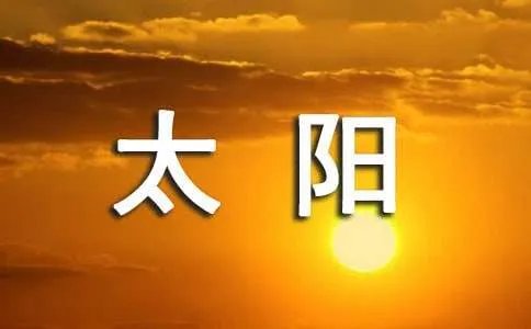 指间的太阳读后感