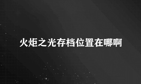 火炬之光存档位置在哪啊