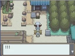 NDS《口袋妖怪：金心/银魂》神兽获得攻略