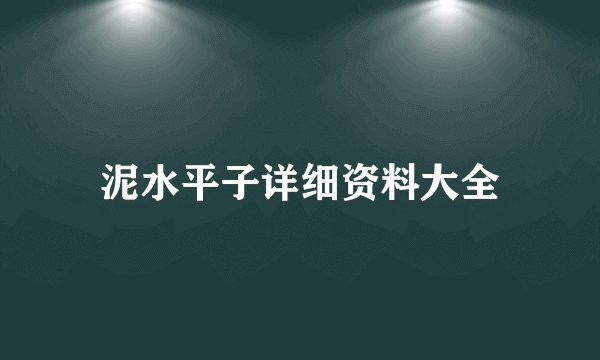 泥水平子详细资料大全