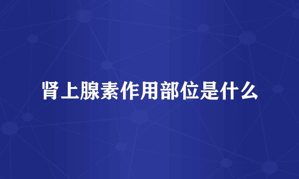 肾上腺素作用部位是什么