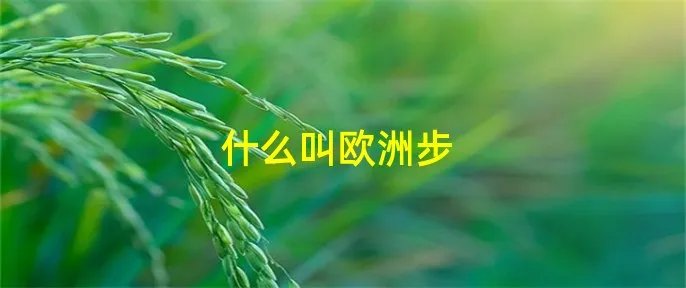 什么叫欧洲步