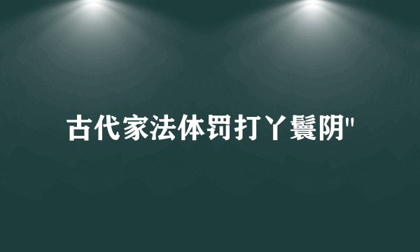 古代家法体罚打丫鬟阴