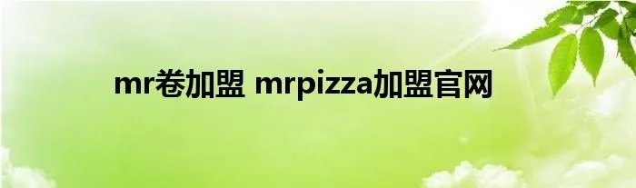 mr卷加盟 mrpizza加盟官网