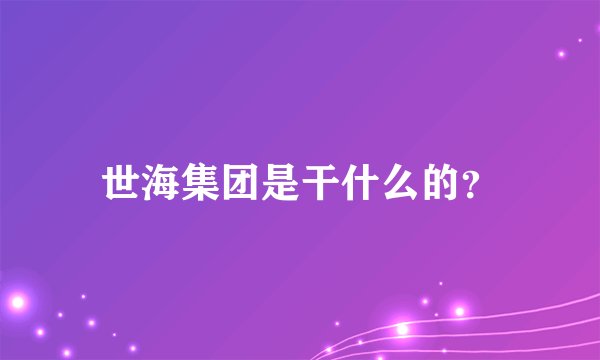 世海集团是干什么的？