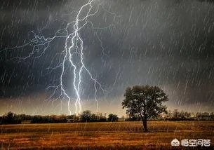 需要一半，留下一半（打一个字）？