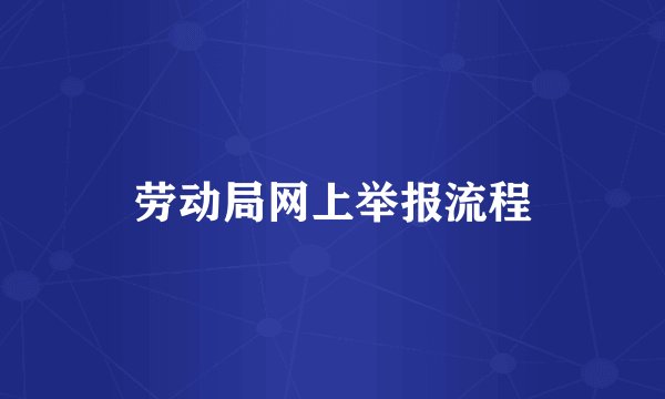 劳动局网上举报流程
