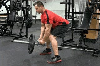 练背可以天天练吗