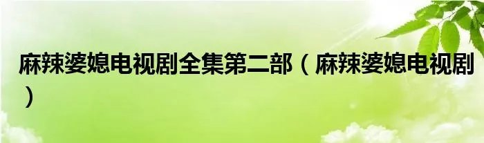 麻辣婆媳电视剧全集第二部（麻辣婆媳电视剧）