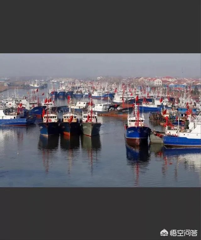 游艇码头和渔业码头有什么区别？