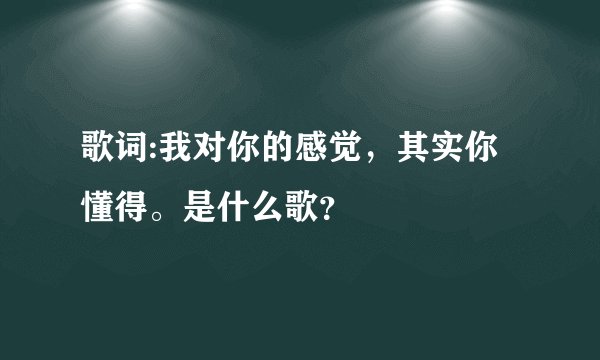 歌词:我对你的感觉，其实你懂得。是什么歌？