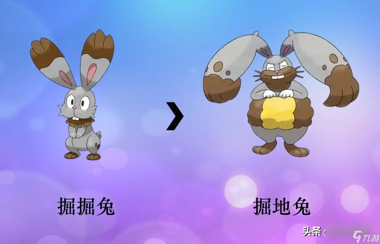 口袋精灵2宠物进化图 部分