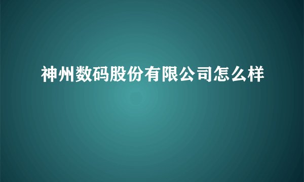 神州数码股份有限公司怎么样