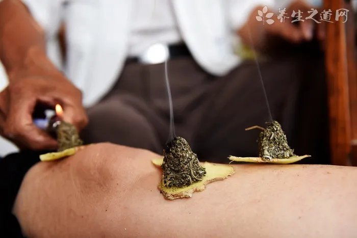 纵狗咬人被刑拘