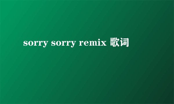 sorry sorry remix 歌词