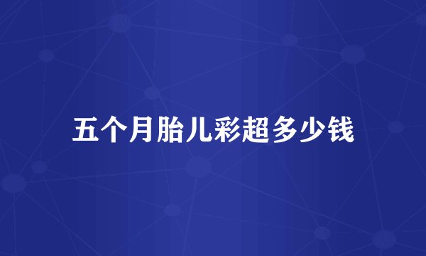 五个月胎儿彩超多少钱