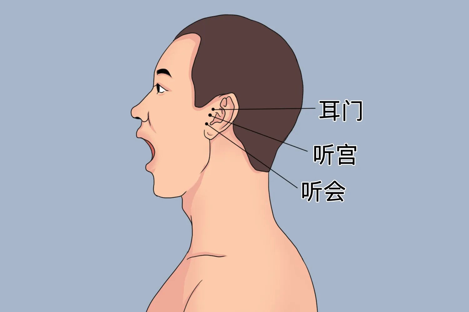 听会在耳朵的哪个位置