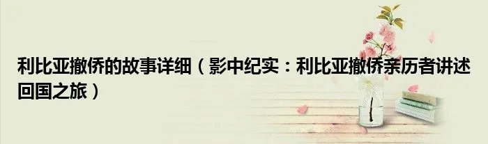 利比亚撤侨的故事详细（影中纪实：利比亚撤侨亲历者讲述回国之旅）