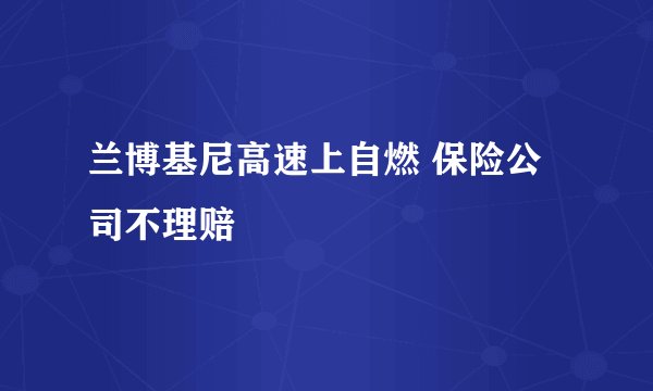 兰博基尼高速上自燃 保险公司不理赔