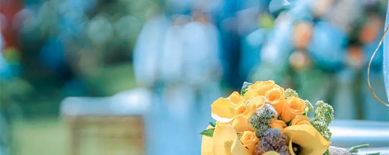 巨蟹座女生和天蝎座男生配对 巨蟹座女生和天蝎座男生配对指数