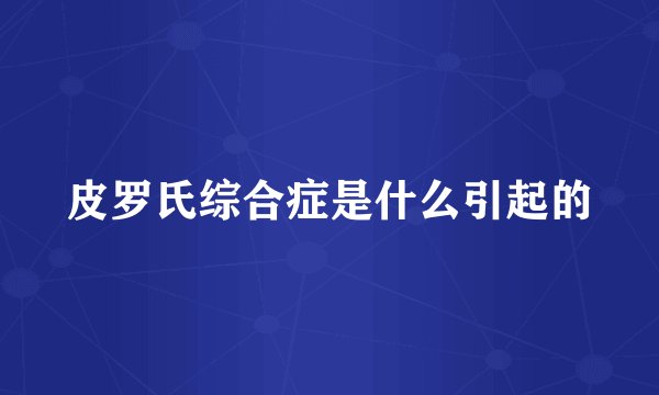 皮罗氏综合症是什么引起的