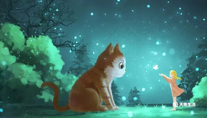 一只想飞的猫作者是谁,主人公是谁