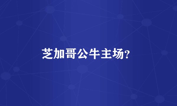 芝加哥公牛主场？
