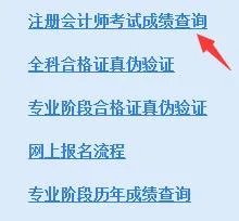 2017年CPA考试成绩什么时候查询?