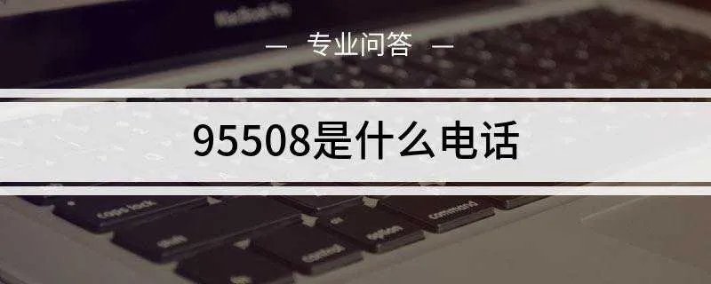 95508是什么电话