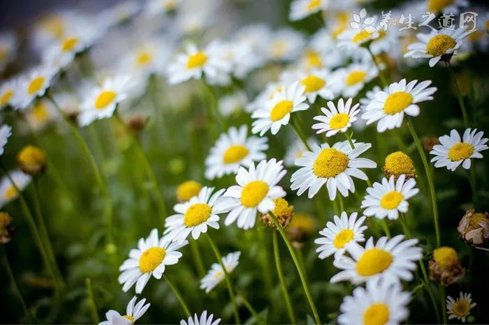 雅漾护肤品孕妇可以用吗 雅漾好用的产品推荐