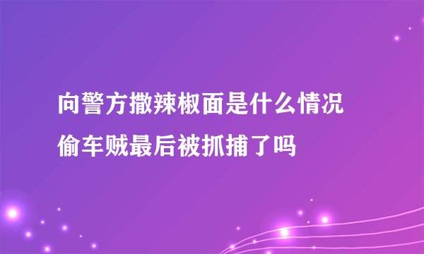 向警方撒辣椒面是什么情况 偷车贼最后被抓捕了吗