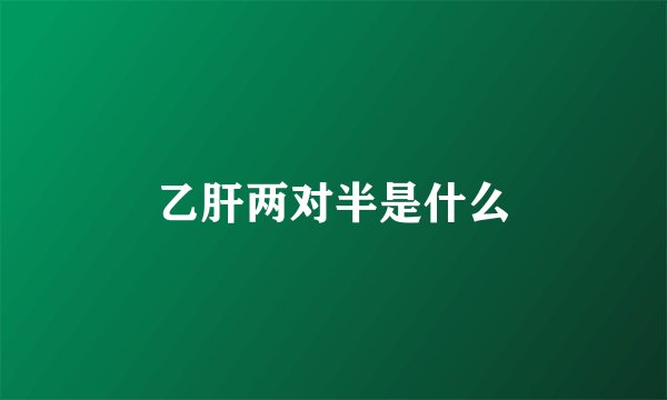 乙肝两对半是什么