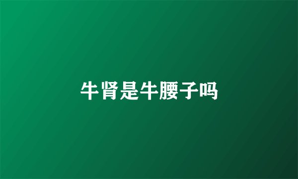 牛肾是牛腰子吗
