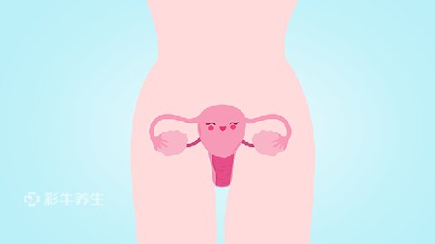 纠正骨盆前倾最佳方法