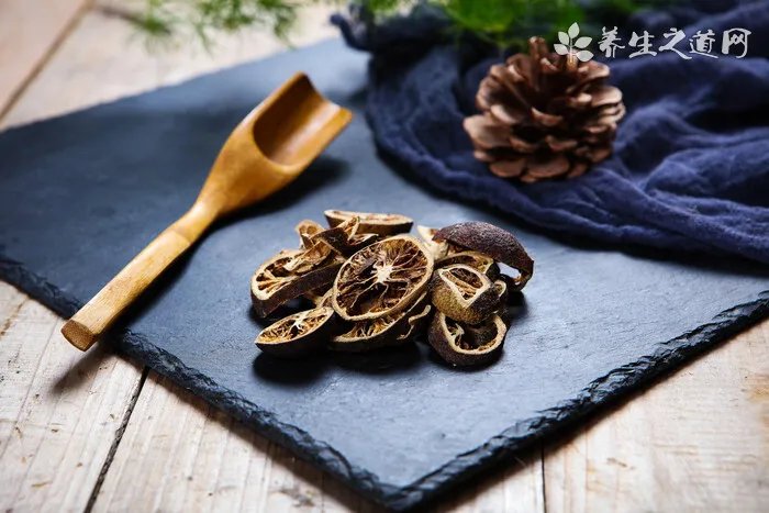 蜥蜴是恒温动物吗 蜥蜴是变温动物也是冷血动物