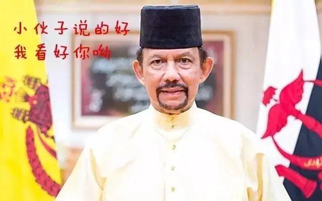 文莱是哪个国家？文莱国王苏丹生活有多奢靡？