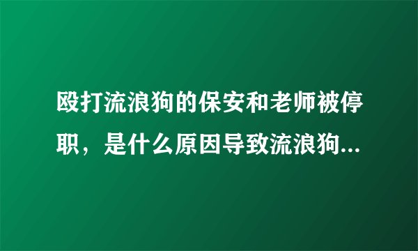 殴打流浪狗的保安和老师被停职，是什么原因导致流浪狗越来越多？