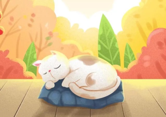 有俗话说猫有九条命是真的吗