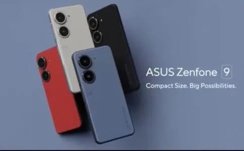 恶心虫子图片（惊曝：这12种恶心虫子）