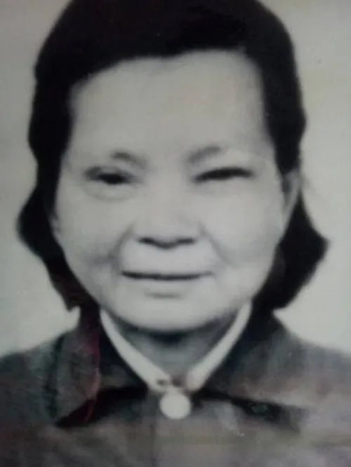 子女悬赏百万寻母被骗4次 其母亲走丢原因令人撕心裂肺