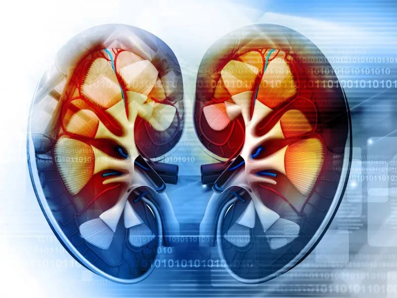 肾区疼痛的病因