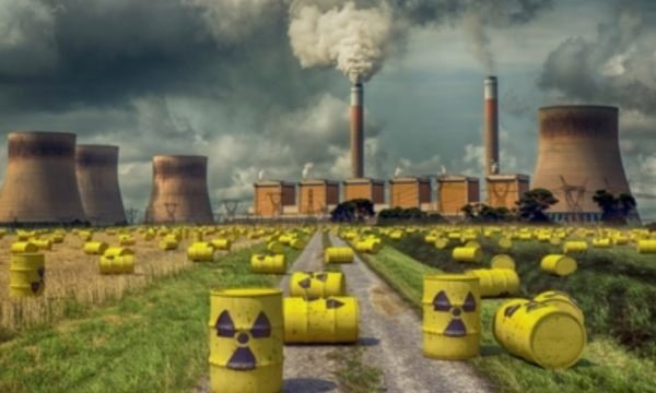 日本计划将核污水排入大海，这对海洋生物有多大的影响？