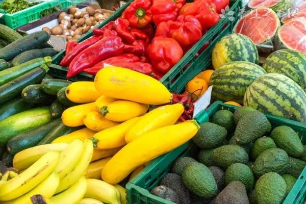 吸油茶有效果吗