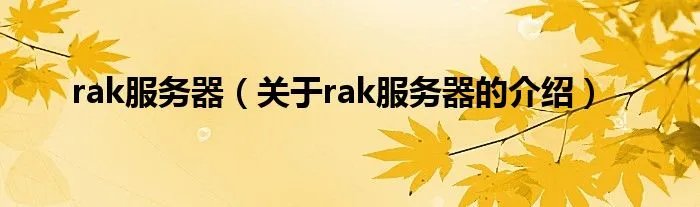 rak服务器（关于rak服务器的介绍）